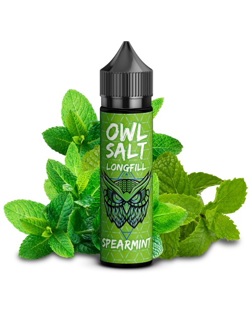 Spearmint - OWL Salt Aroma 10ml